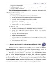 Investicinio portfelio formavimo planavimas 13 puslapis