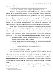 Investicinio portfelio formavimo planavimas 18 puslapis