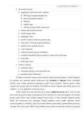 Investicinio portfelio formavimo planavimas 7 puslapis