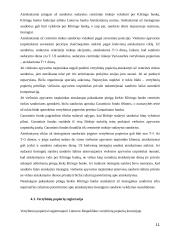 Vertybinių popierių rinkos bruožai 11 puslapis