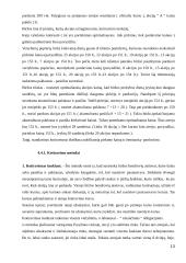 Vertybinių popierių rinkos bruožai 13 puslapis