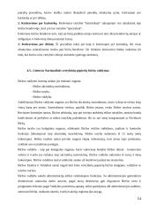 Vertybinių popierių rinkos bruožai 14 puslapis