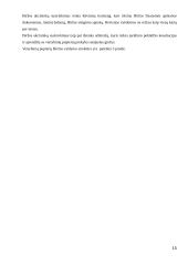 Vertybinių popierių rinkos bruožai 15 puslapis