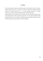 Vertybinių popierių rinkos bruožai 16 puslapis