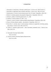 Vertybinių popierių rinkos bruožai 17 puslapis