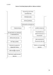 Vertybinių popierių rinkos bruožai 19 puslapis