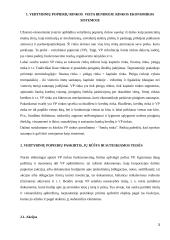 Vertybinių popierių rinkos bruožai 3 puslapis