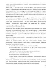 Vertybinių popierių rinkos bruožai 6 puslapis