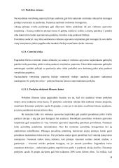 Vertybinių popierių rinkos bruožai 8 puslapis