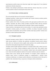 Vertybinių popierių rinkos bruožai 10 puslapis