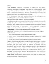 Globalizacija ir socialine politika Lietuvoje  2 puslapis