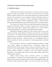 Globalizacija ir socialine politika Lietuvoje  3 puslapis