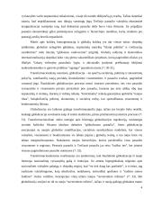 Globalizacija ir socialine politika Lietuvoje  4 puslapis