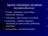 Sporto industrijos ekonominiai ypatumai 16 puslapis