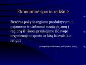 Sporto industrijos ekonominiai ypatumai 19 puslapis