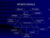 Sporto industrijos ekonominiai ypatumai 3 puslapis