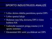 Sporto industrijos ekonominiai ypatumai 4 puslapis