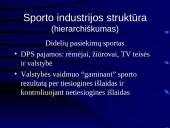 Sporto industrijos ekonominiai ypatumai 5 puslapis
