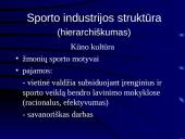 Sporto industrijos ekonominiai ypatumai 6 puslapis
