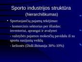 Sporto industrijos ekonominiai ypatumai 7 puslapis