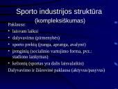 Sporto industrijos ekonominiai ypatumai 8 puslapis