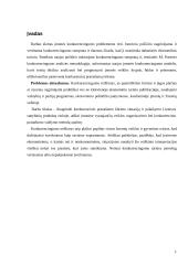 Baigiamoji praktikos ataskaita 2 puslapis