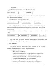 Baigiamoji praktikos ataskaita 11 puslapis