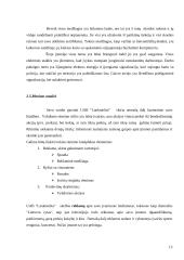 Baigiamoji praktikos ataskaita 13 puslapis