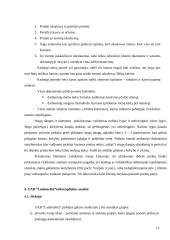 Baigiamoji praktikos ataskaita 15 puslapis