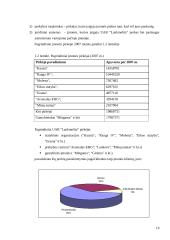 Baigiamoji praktikos ataskaita 16 puslapis