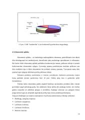 Baigiamoji praktikos ataskaita 19 puslapis