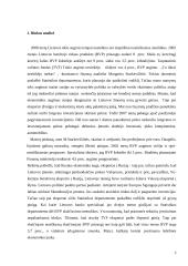 Baigiamoji praktikos ataskaita 3 puslapis