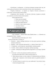 Baigiamoji praktikos ataskaita 5 puslapis