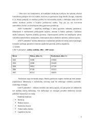 Baigiamoji praktikos ataskaita 6 puslapis