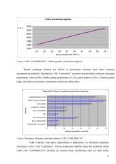 Baigiamoji praktikos ataskaita 8 puslapis