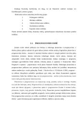 Įmonės "Reborda" finansinė analizė 13 puslapis