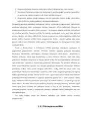 Įmonės "Reborda" finansinė analizė 17 puslapis