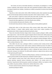 Įmonės "Reborda" finansinė analizė 18 puslapis