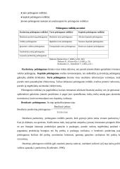 Įmonės "Reborda" finansinė analizė 19 puslapis