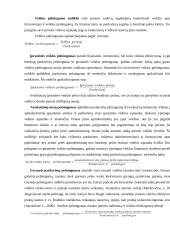 Įmonės "Reborda" finansinė analizė 20 puslapis