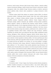 Įmonės "Reborda" finansinė analizė 9 puslapis