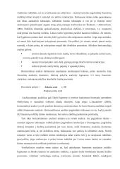 Įmonės "Reborda" finansinė analizė 10 puslapis