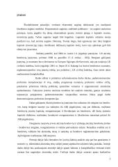 Korporatyvaus kapitalo įvertinimo ypatumai 2 puslapis