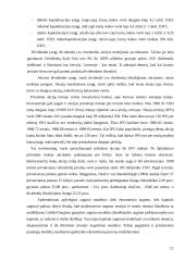Korporatyvaus kapitalo įvertinimo ypatumai 12 puslapis