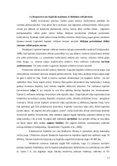 Korporatyvaus kapitalo įvertinimo ypatumai 13 puslapis