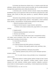 Korporatyvaus kapitalo įvertinimo ypatumai 17 puslapis