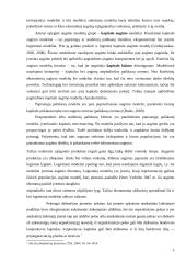 Korporatyvaus kapitalo įvertinimo ypatumai 5 puslapis