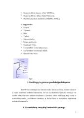 Praktikos ataskaita metalo įmonėje 5 puslapis