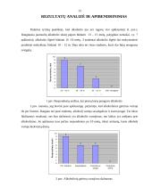 Jaunimo alkoholinių gėrimų vartojimo aspektai 13 puslapis