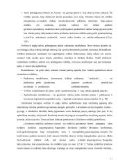 UAB Trakų šilumos tinklai veiklos efektyvumo įvertinimas 17 puslapis